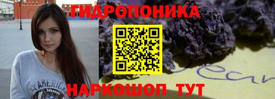 PSILOCYBIN Кинель